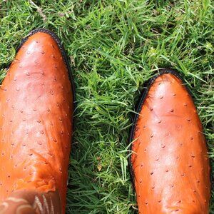 Nocona Full Quill Ostrich Cowboy Boots | Size 10 D | Brown | Round Toe